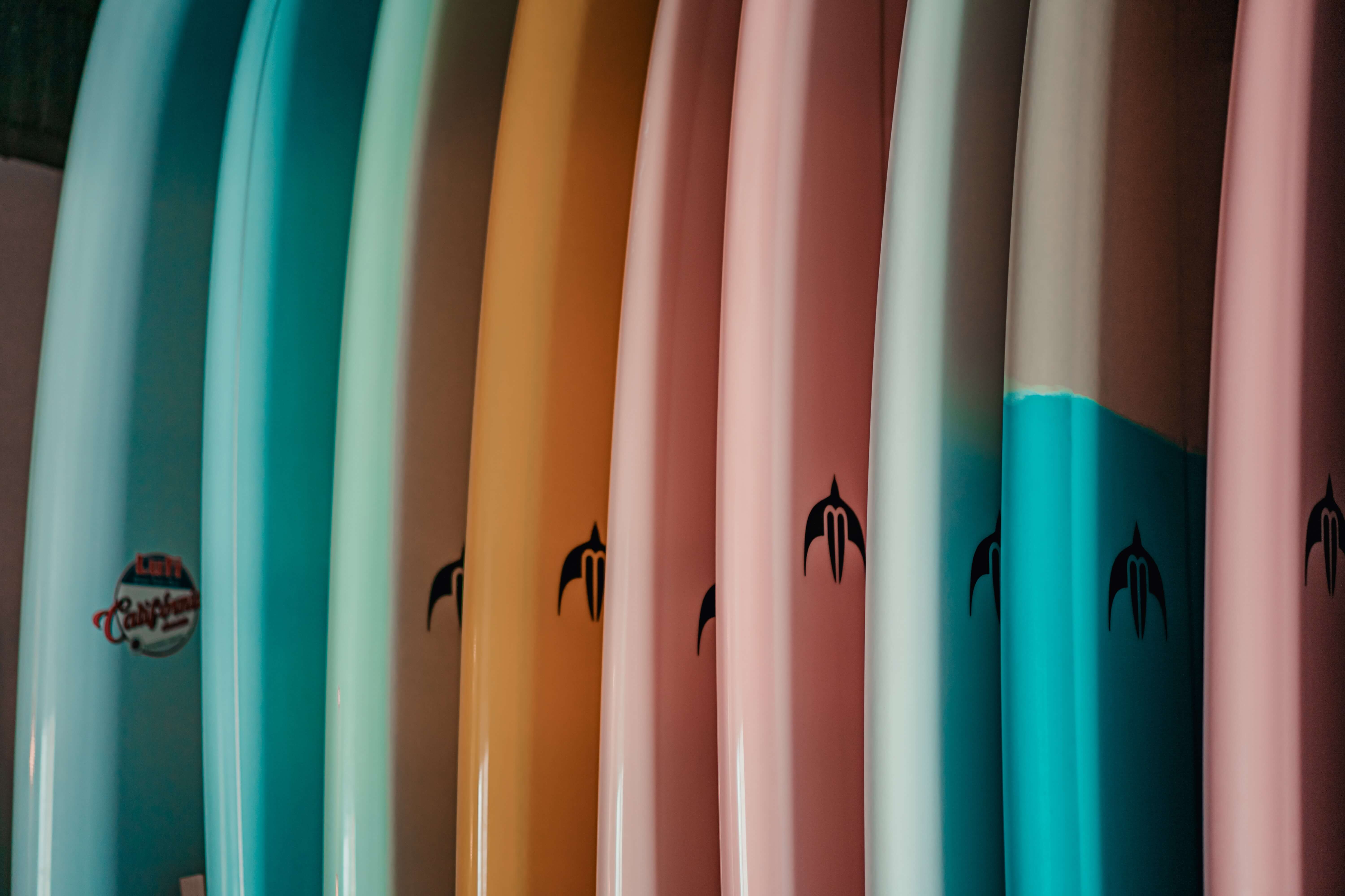 surfboards lined up