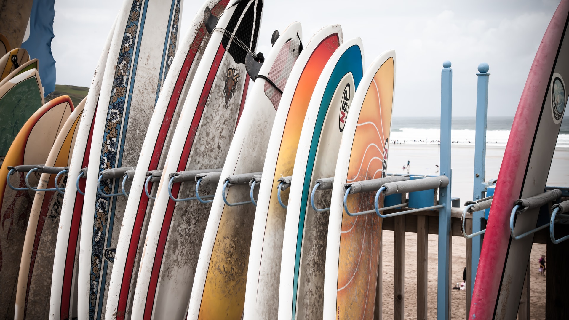 surfboards in a row