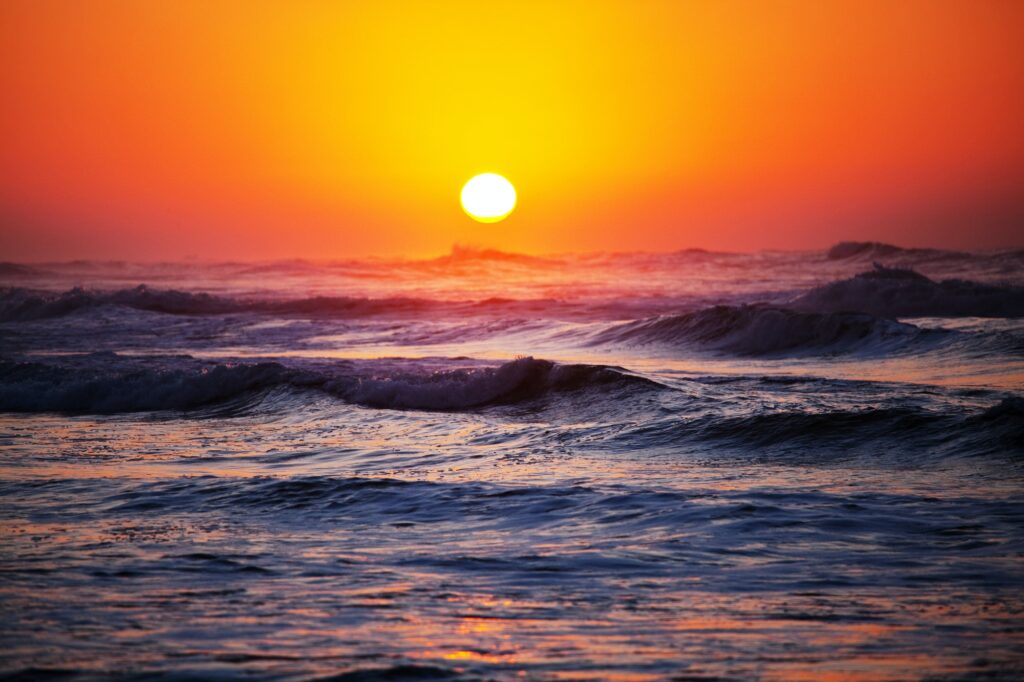 Wave